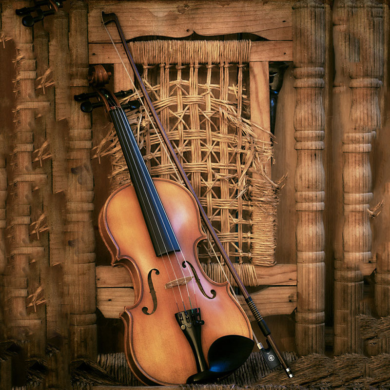 Arco de violino jogador de vio - Musical Instrument Shop avaliação e preço
