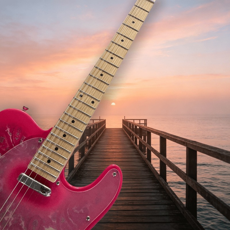 Guitarra Elétrica PinkTeleX St - Musical Instrument Mandolin avaliação e preço