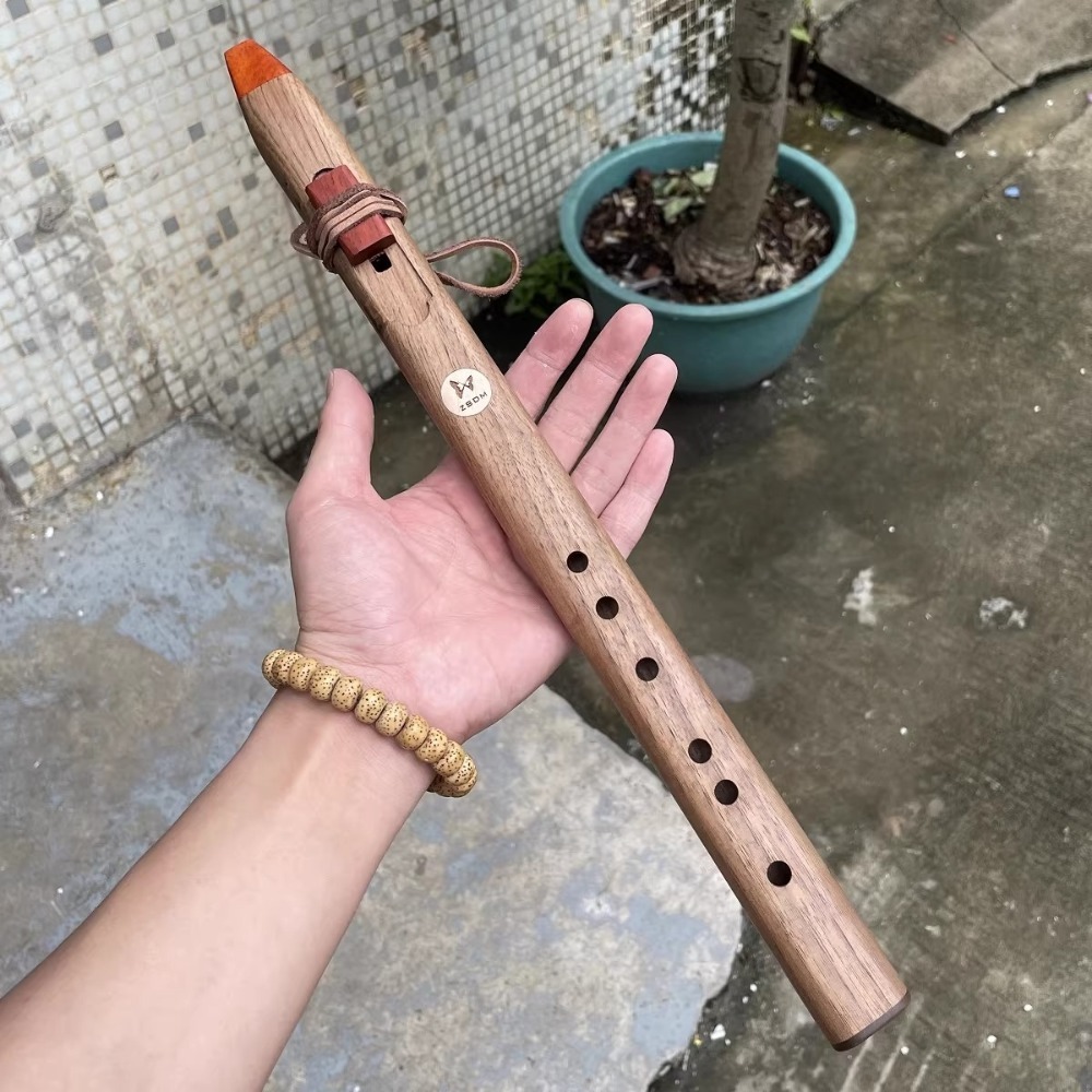 Flauta Vertical de Madeira com - Musical Instrument A Recorder avaliação e preço