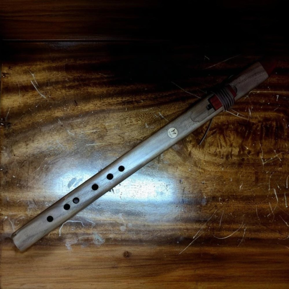 Flauta Vertical de Madeira com - Musical Instrument A Recorder avaliação e preço