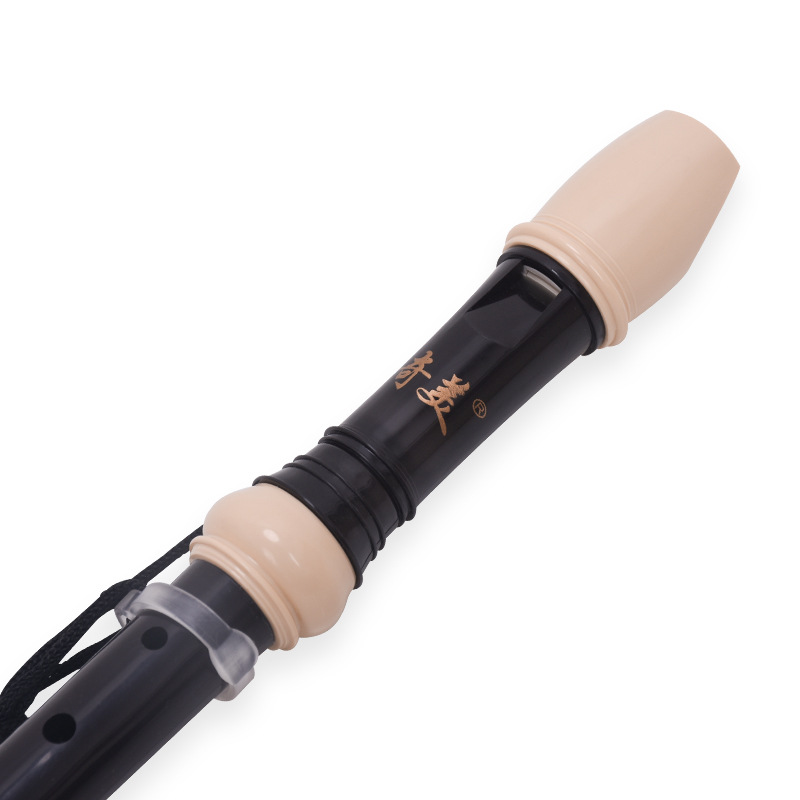 Gravador de 8 buracos, chave g - Musical Instrument A Recorder avaliação e preço