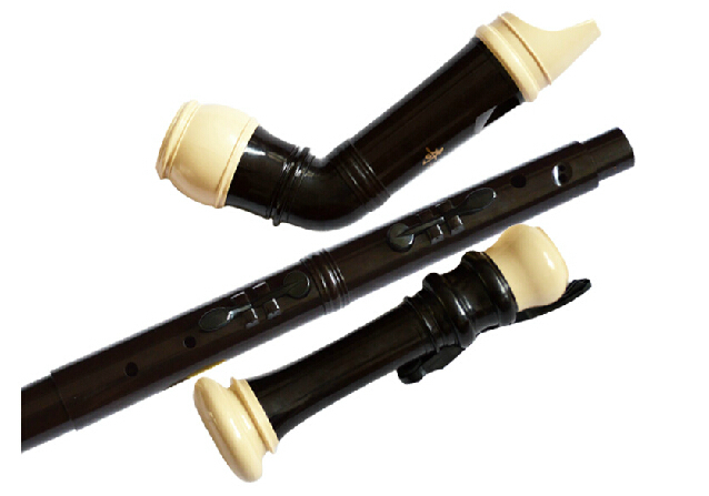 Clarinete profissional de resi - Musical Instrument A Recorder avaliação e preço