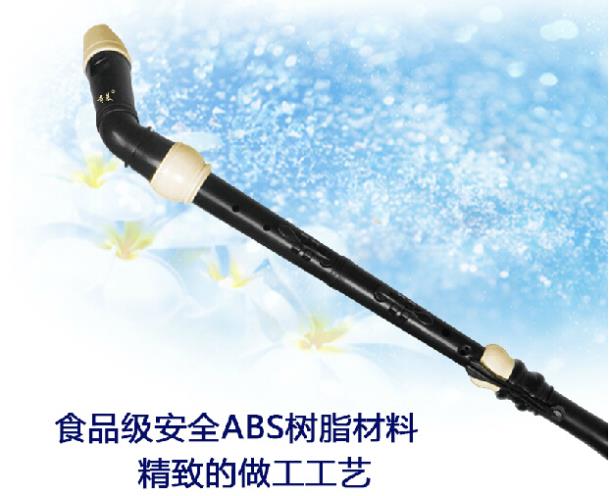 Clarinete profissional de resi - Musical Instrument A Recorder avaliação e preço