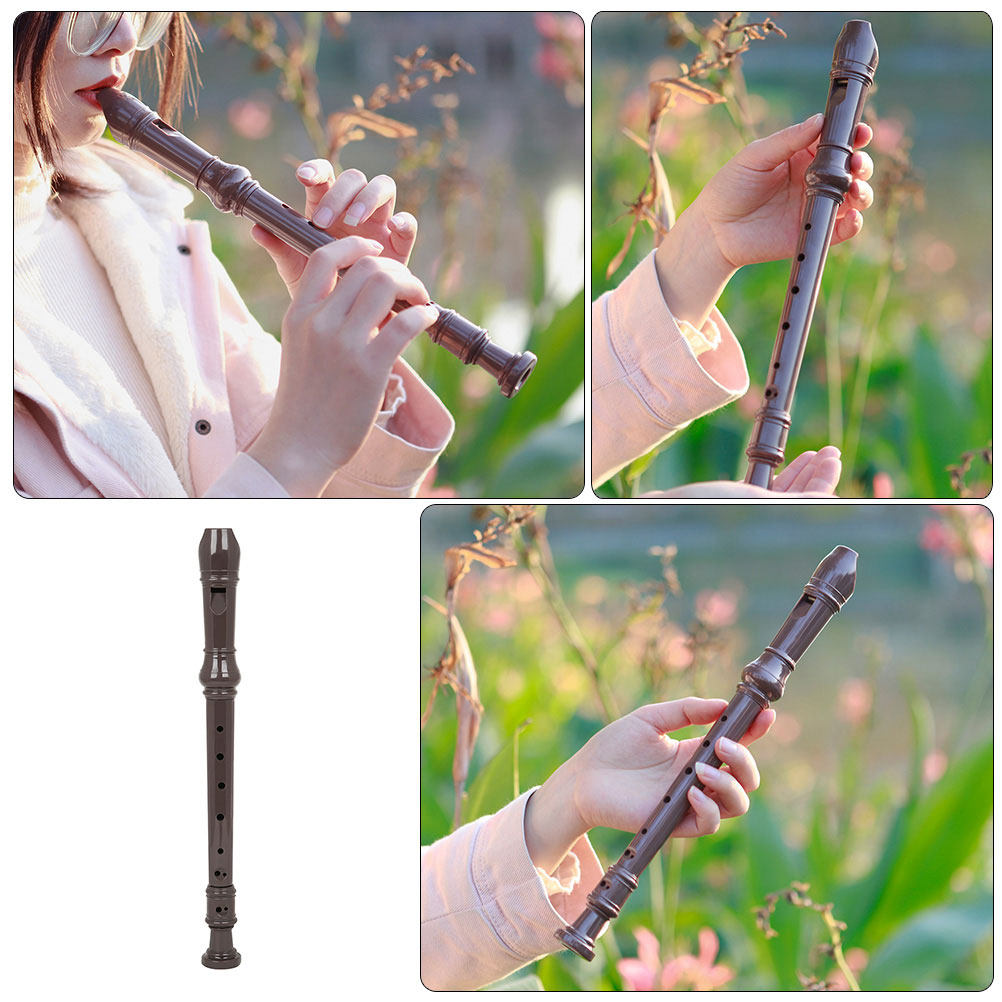 Flauta tradicional de resina c - Musical Instrument A Recorder avaliação e preço