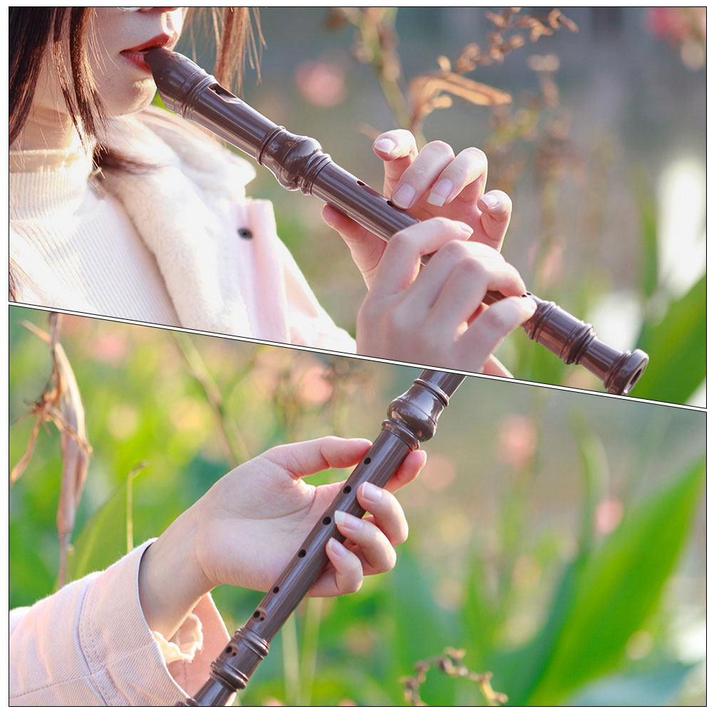 Flauta tradicional de resina c - Musical Instrument A Recorder avaliação e preço