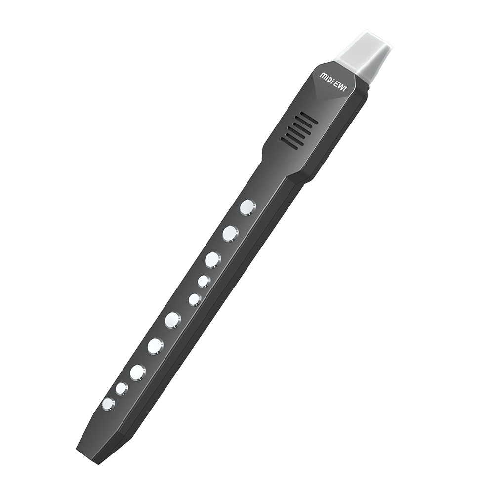 Flauta transversal pequena, ve - Musical Instrument A Recorder avaliação e preço