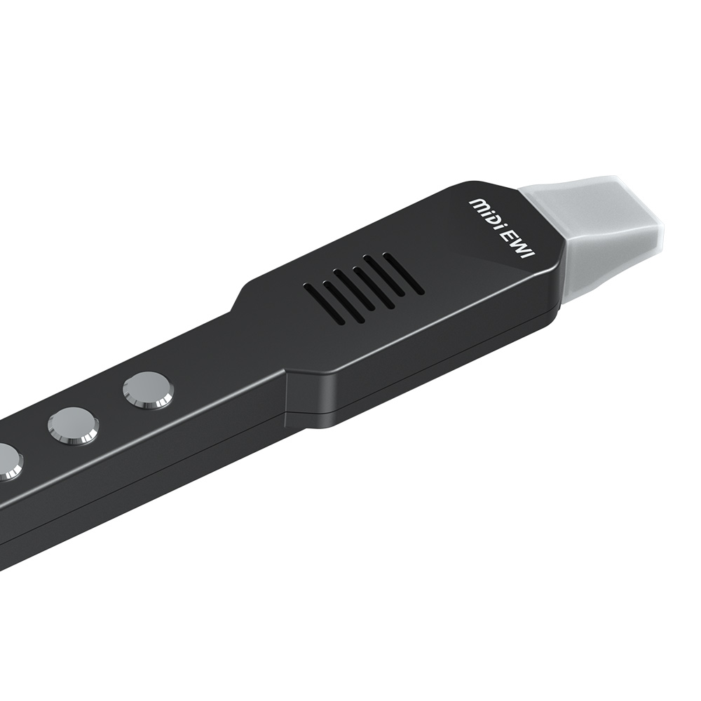 Flauta transversal pequena, ve - Musical Instrument A Recorder avaliação e preço